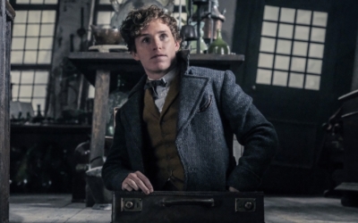 fantastic-beasts-newt-scamander-harry-potter-2