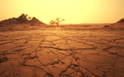 sucho-v-namibii