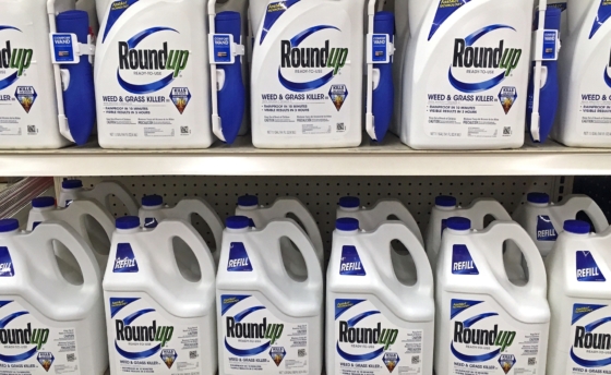 Roundup Grass and Weed killer