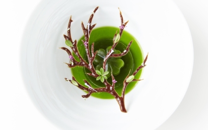 geranium-1