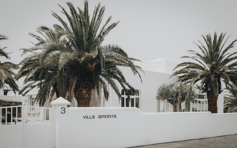 vila-amonit2