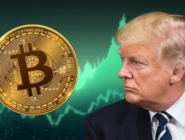 btc-trump