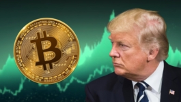 btc-trump