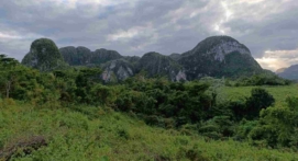 vinales