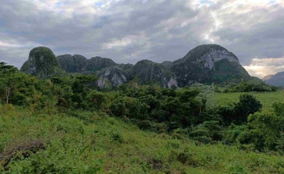 vinales