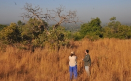 antilopa-derbyho-12
