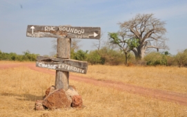 antilopa-derbyho-6