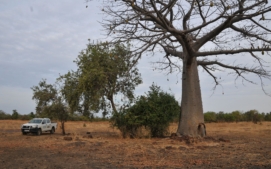 antilopa-derbyho-5