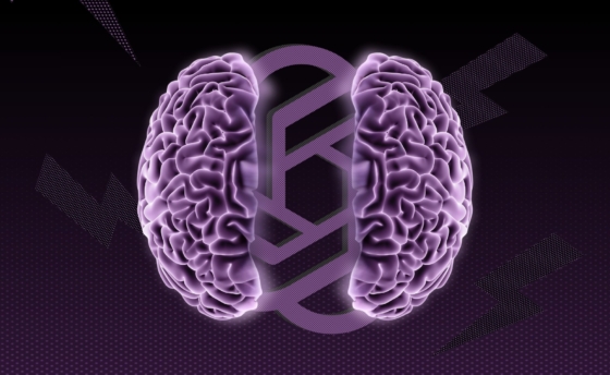 openai-anxiety-mvp-x