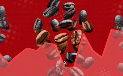 coffee-mvp