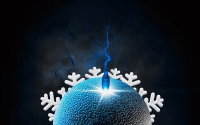 egg-meets-sperm-mvp