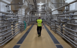 staropramen-pivovar-smichov-11