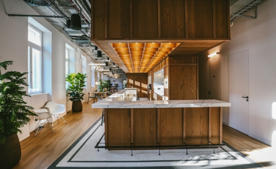 20250509-063333_0001-prochazka-partners-mews-min