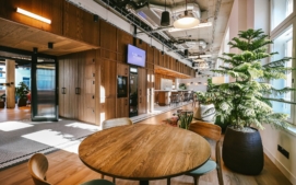 20250509-064243_0016-prochazka-partners-mews-min