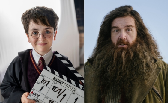 harry-hagrid