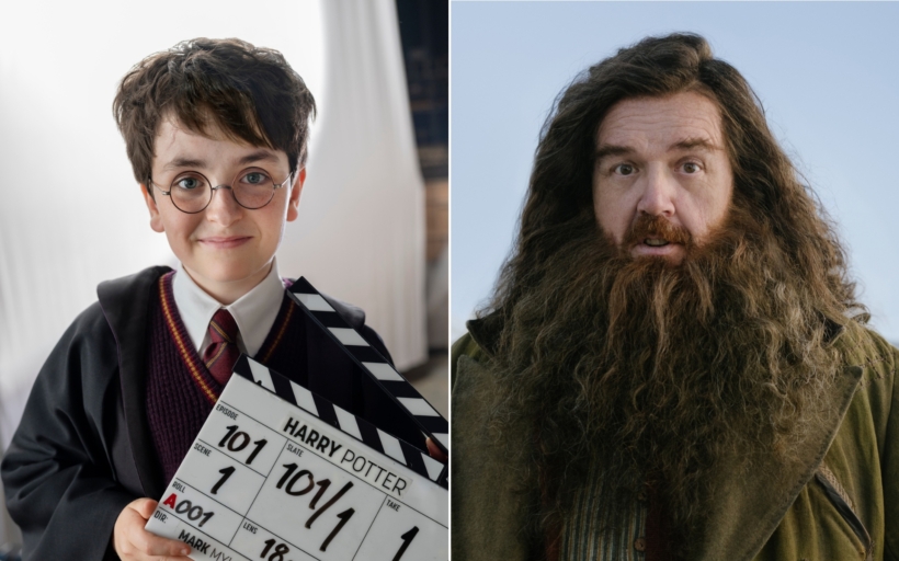 harry-hagrid