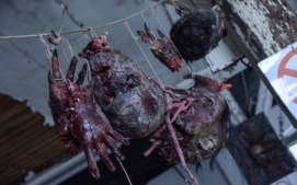 brutal-assault-2025-4