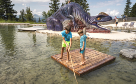 pillerstal-s-detmi-3