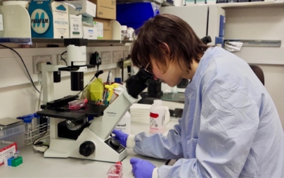 bara-cihlova-v-laboratori