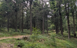 pixel-10-pro-orlicke-hory-7