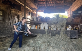 gurmet-jizni-morava-7