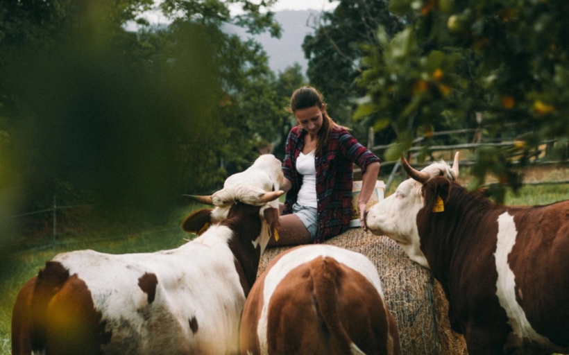 gurmet-jizni-morava-2