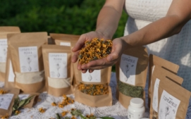 Sušený květ topinamburu