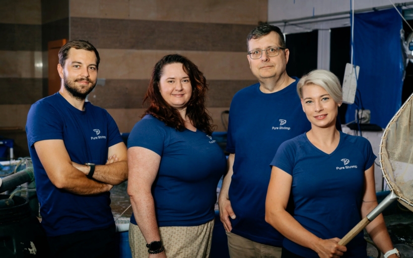 pure-shrimp