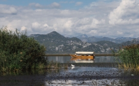 Skadarské jezero