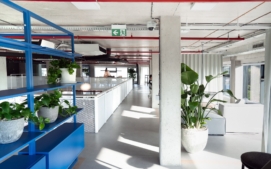 honest-ricany-klikarch7