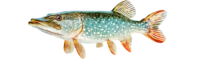 longriver-logo