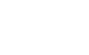 direct-group_logo_negativni-provedeni_rgb