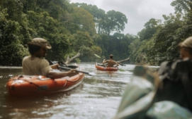 kongo-cena-slona-ben-cristovao-04