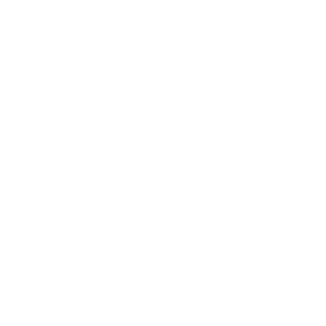 nesu_logo