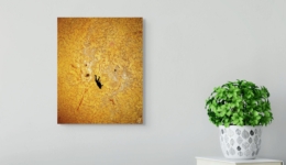 fall-of-icarus-mccarthy