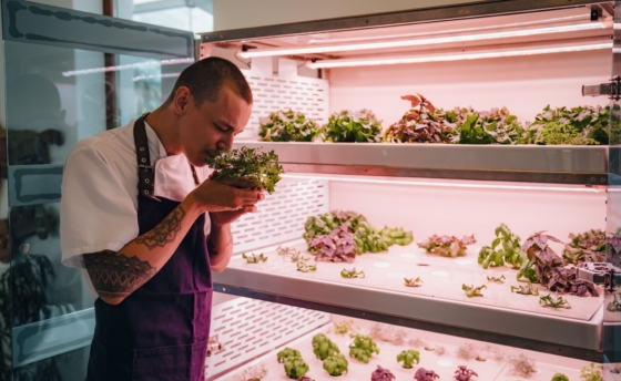 farma-urbi-pro-restaurace