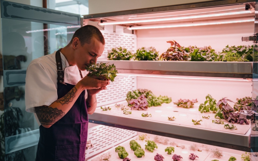 farma-urbi-pro-restaurace