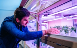 dmitrij-lipovskij-urbanio