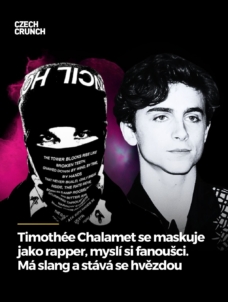 timothee-chalamet