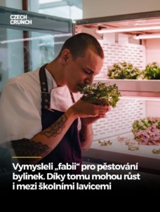 urbi