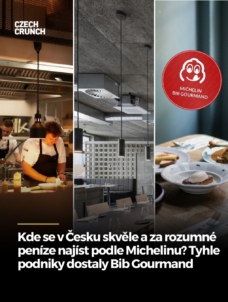 bib