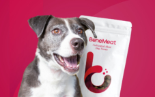 bene-meat-technologies-mvp