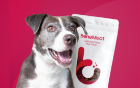 bene-meat-technologies-mvp