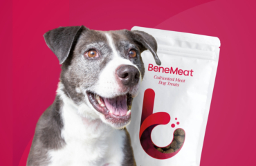 bene-meat-technologies-mvp