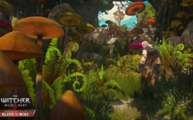 zaklinac-witcher-cd-projekt-24
