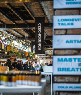 jirisilha-longevity-festival-venue-11