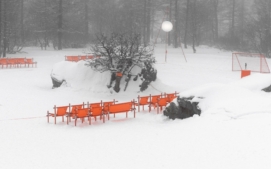 acg-all-conditions-cup-system-3