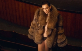 slepici-farma-modrany-8