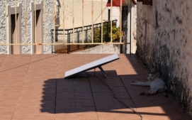 filip-molcan-recko-3