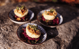 catering_zdrave_10